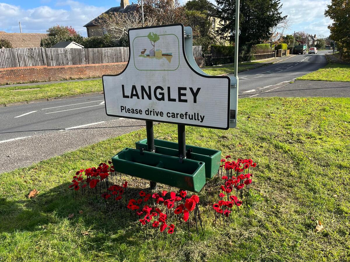 Remembrance Poppies October 2025